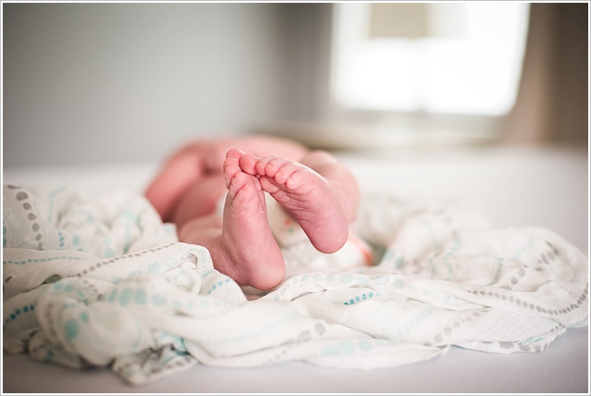 2016-09-07_0017 Newborns