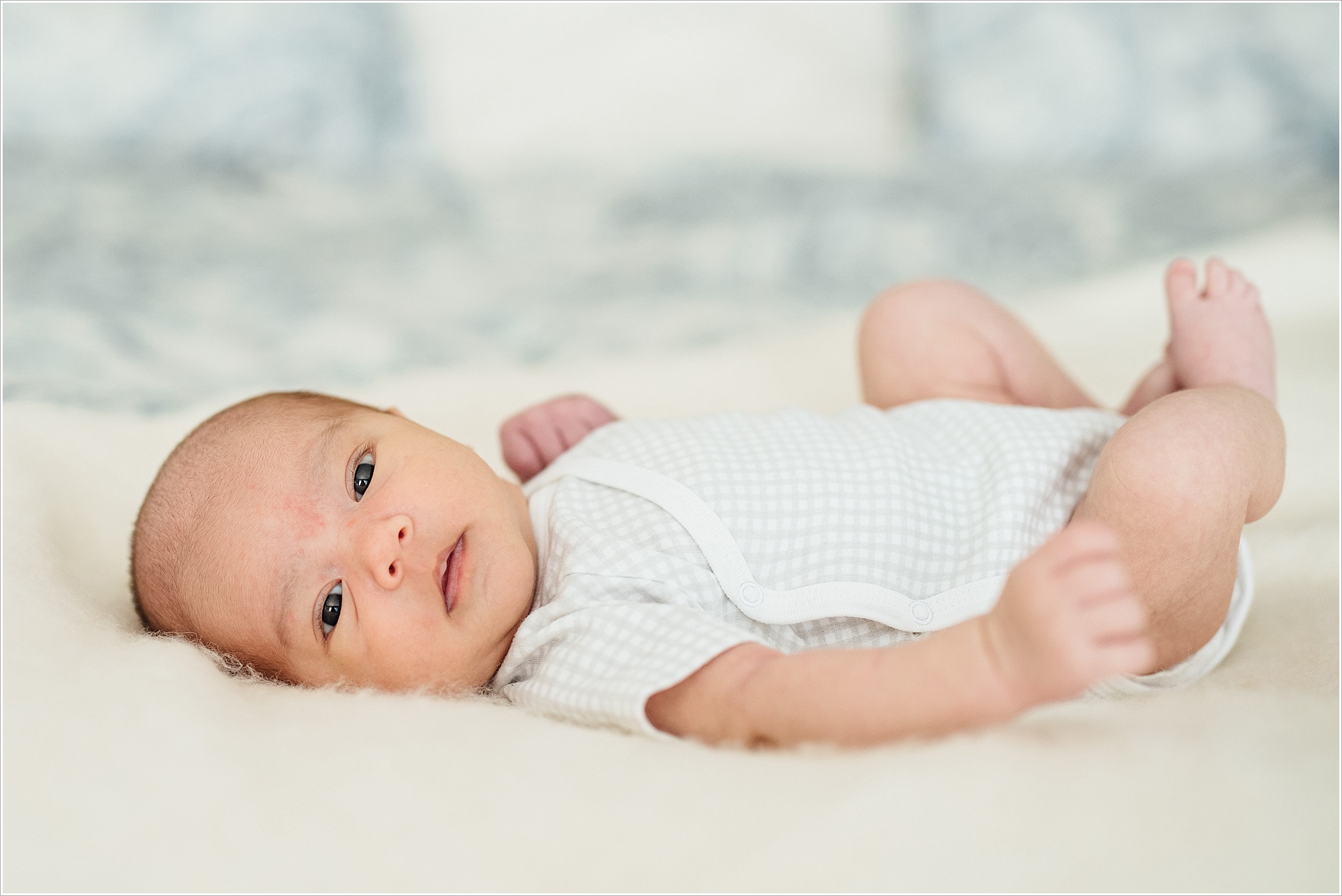 DSC0904 Newborns