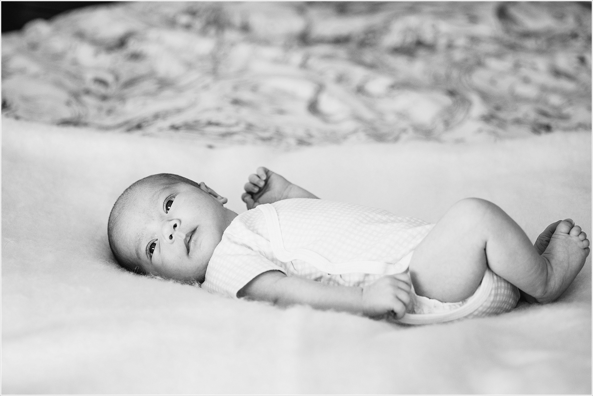 DSC0932 Newborns