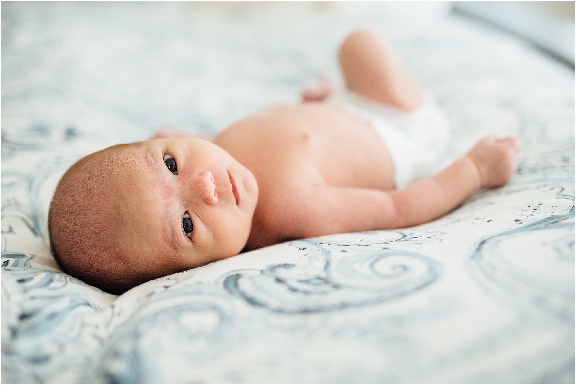 DSC0968 Newborns