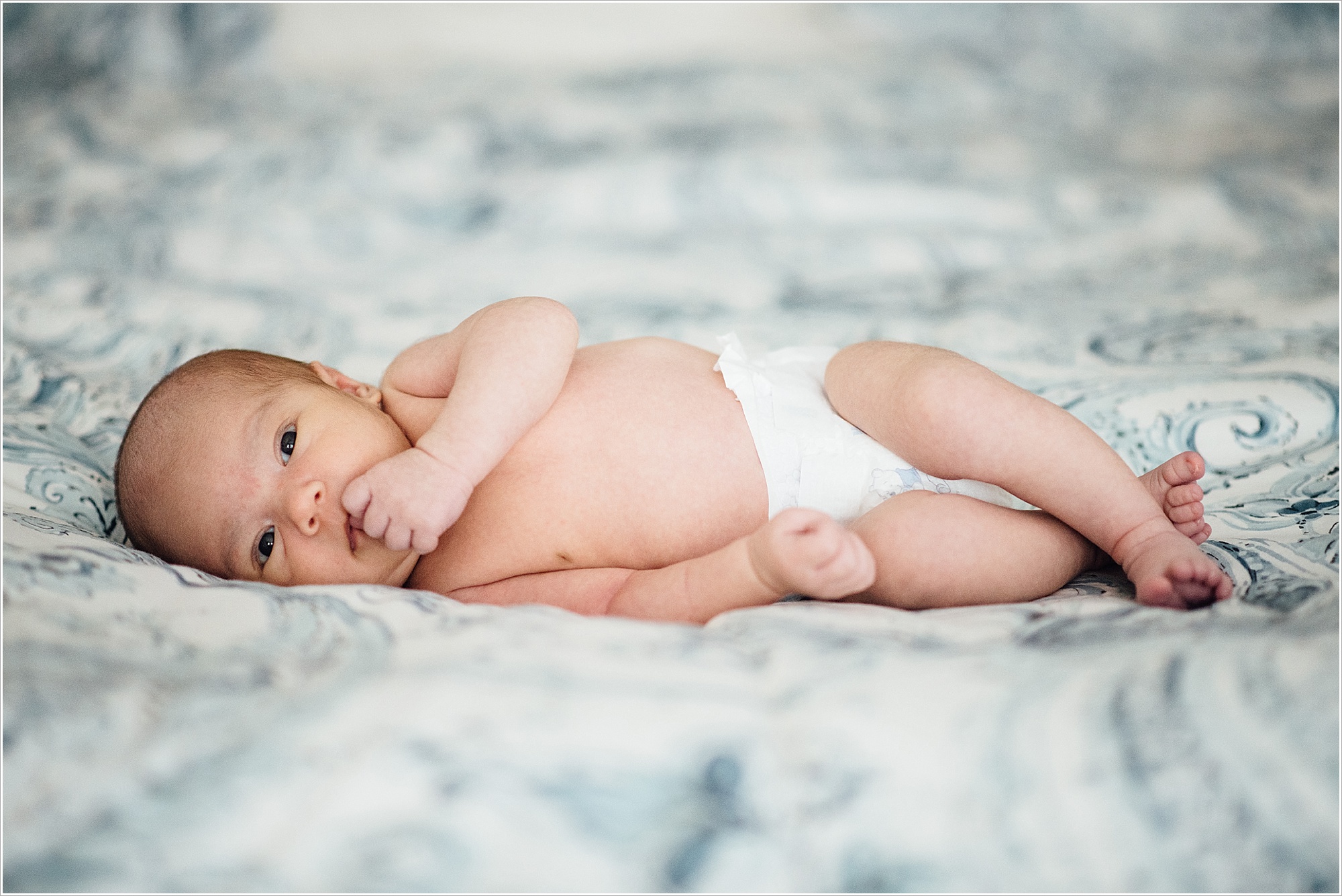 DSC0984 Newborns