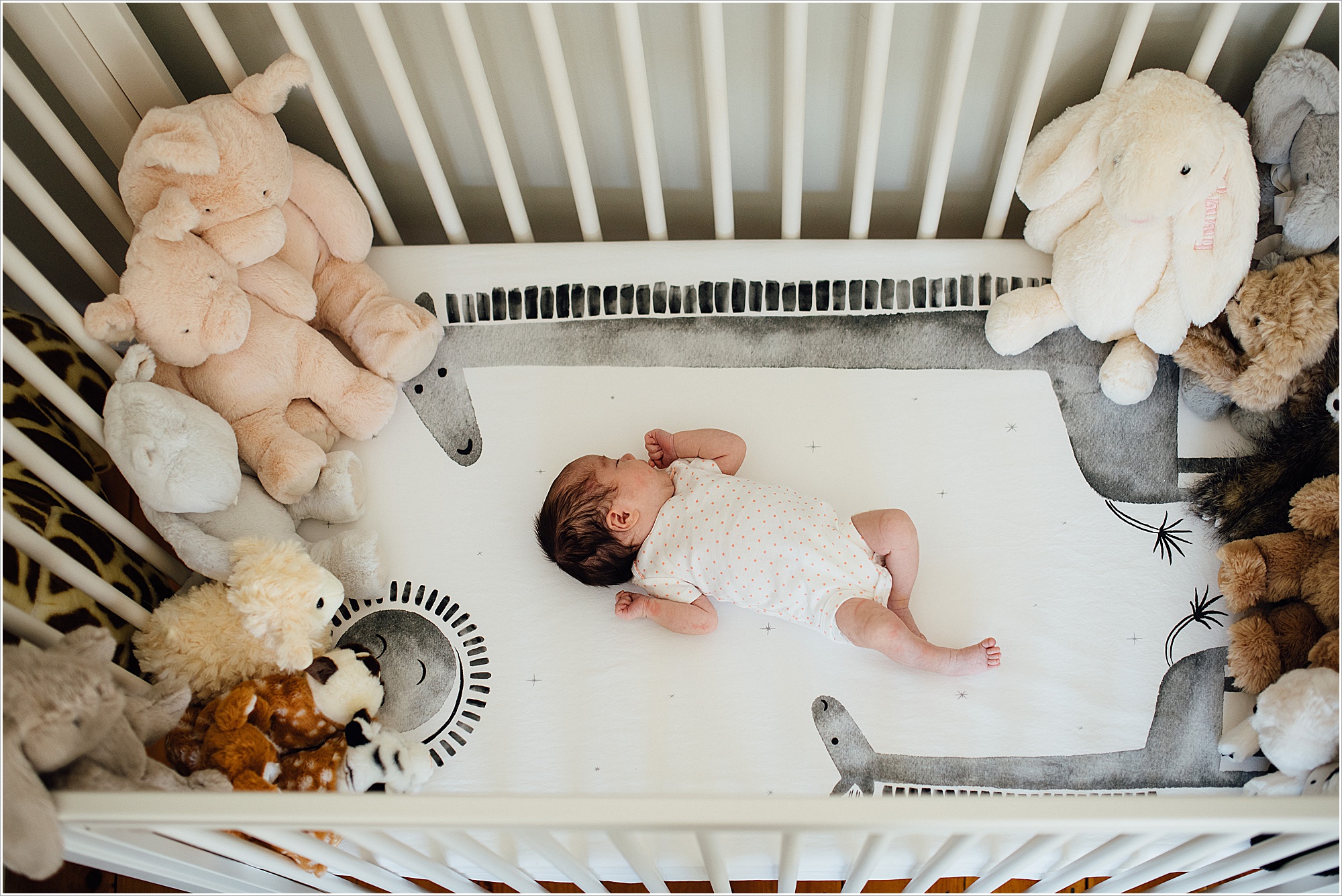 DSC6586 Newborns 