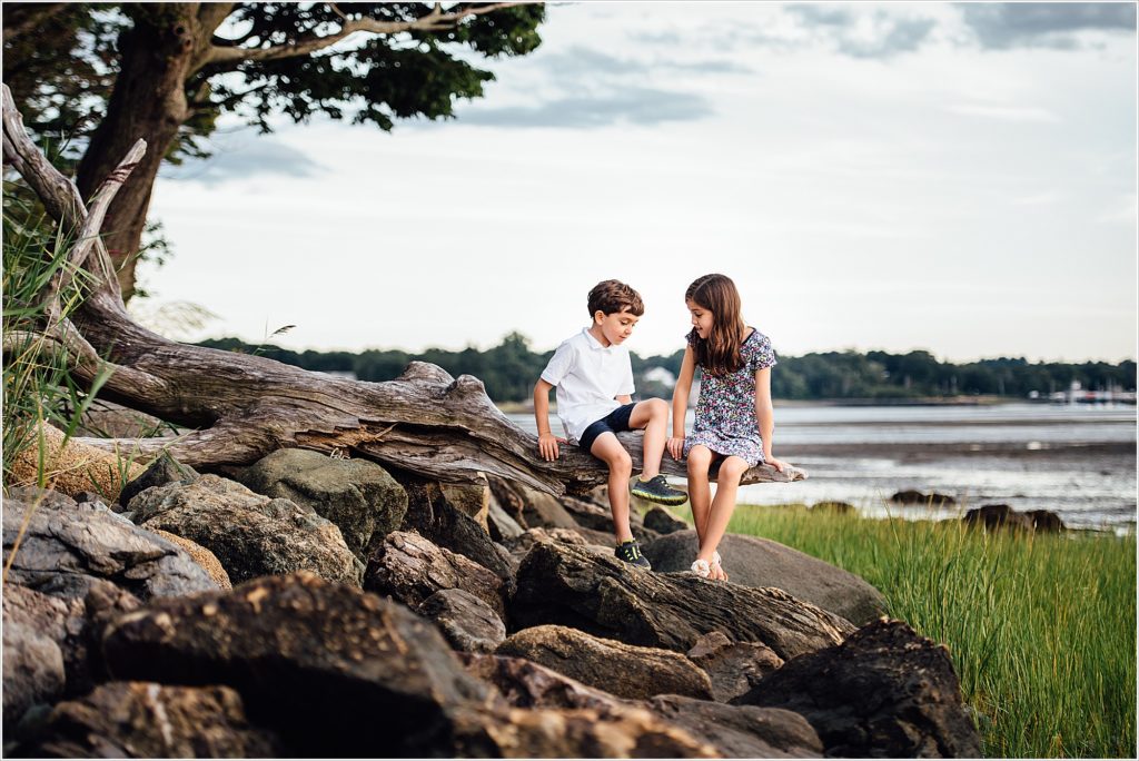 DSC2191-1024x684 Uncategorized