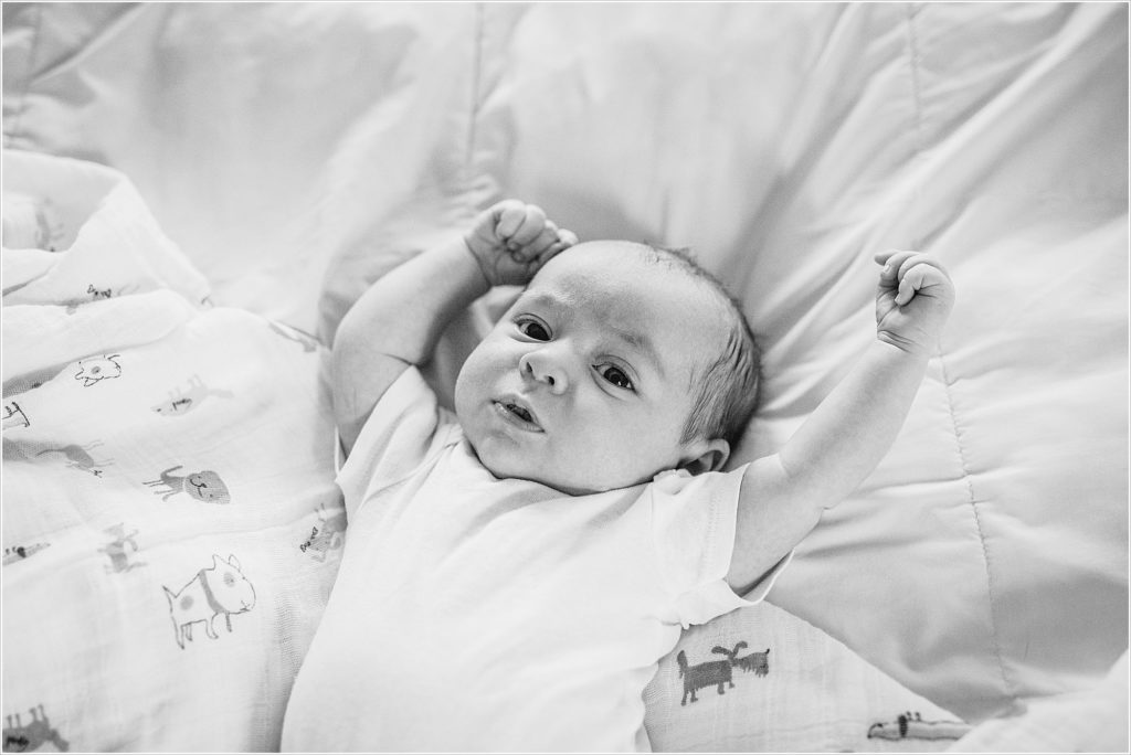 DSC9127-Edit-1024x684 Newborns 
